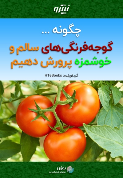 چگونه گوجه فرنگی های سالم و خوشمزه پرورش دهیم